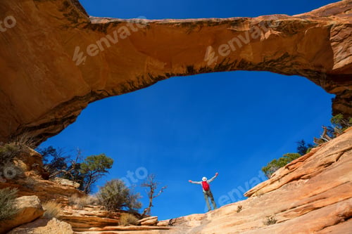 Preview: Natural bridges