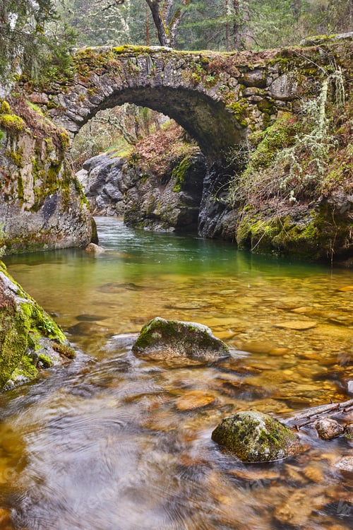Preview: Forest and creek. Angostura picturesque stone bridge in Madrid. Spain