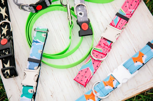 Preview: Dog Collar and Leash set. Pet Supplies and Walking Gear Collection