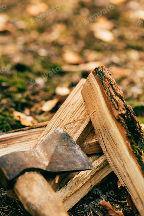 Preview: close up of pile of chopped firewood on ground with ax in autumn forest