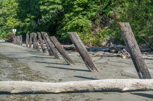 Preview: Old Wooden Posts Line The Shore At Dash Point Sate Park. In Washington State.
