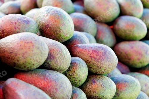 Preview: Heap of of green avocados
