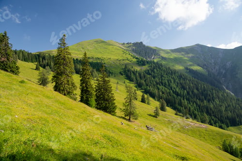 Preview: Beautiful green mountain hills in the Alps in Austria