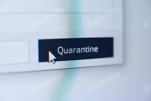 Preview: Button with quarantine title and mouse cursor on a computer screen