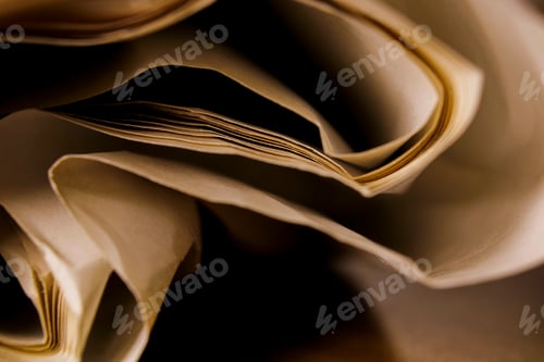 Preview: close up macro shot of details of old crumpled paper side view