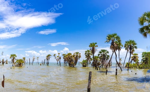 Preview: Lake Turkana Eliye Springs Beach Lodwar Landscapes Waterscape