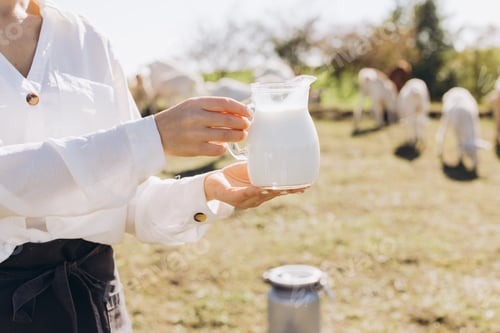 Preview: Freshly Collected Milk in Glass Pitcher Held Outdoors by Person in White Shirt