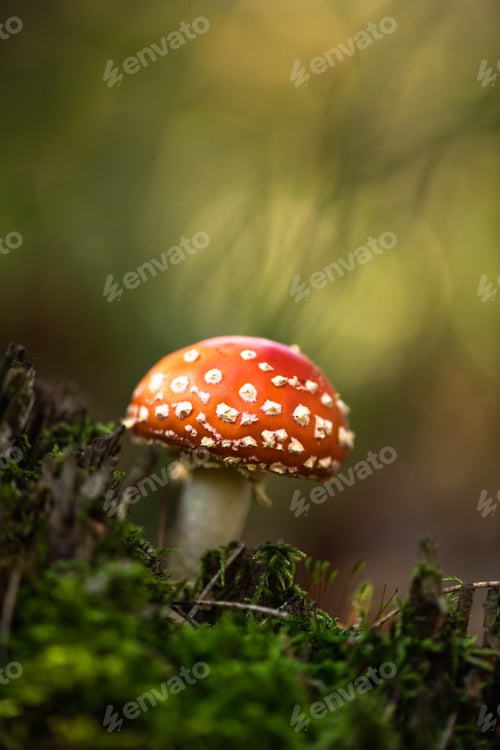 Preview: Beautiful Blurred Autumn Leaves Creating a Peaceful and Colorful Background