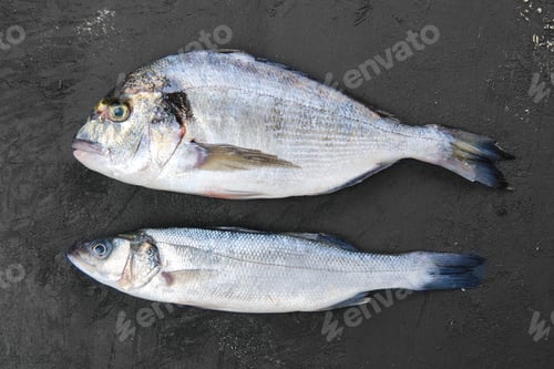 Preview: Fresh seabass and seabream fish