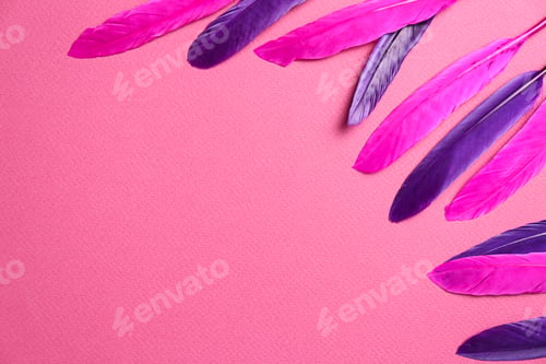 Preview: Bright beautiful feathers on pink background, flat lay. Space for text