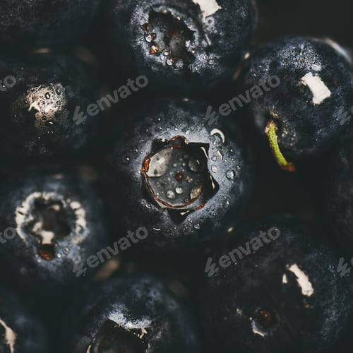 Preview: Flat-lay of wet dark forest blueberries, top view, square crop