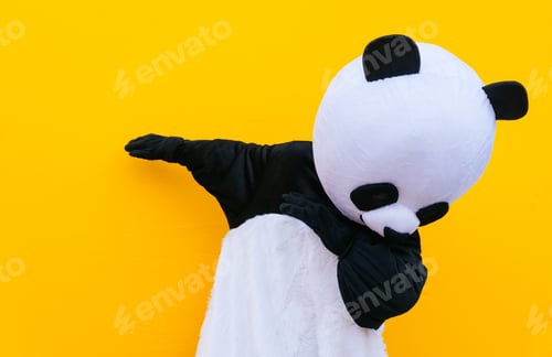 Preview: Person with panda costume