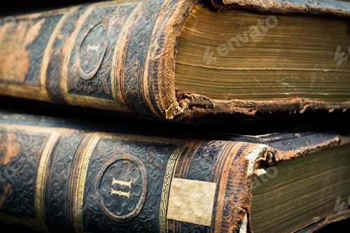Preview: Two volumes antique leather bound books