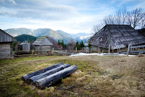 Preview: Firewood on field in front of forest