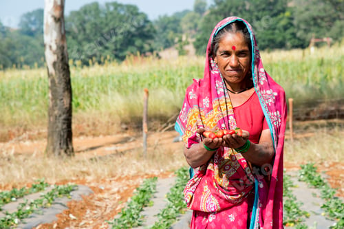 Preview: women farmer working at strawberry farm in the morning.