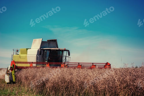 Preview: Combine Harvester on a Wheat Field