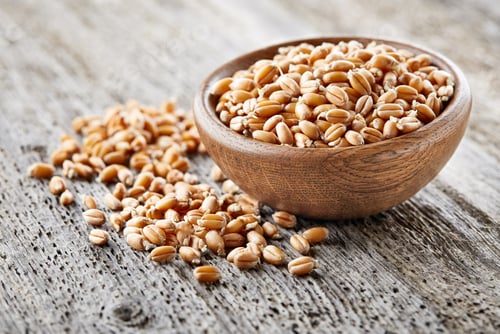 Preview: Wheat sprout in a wooden plate