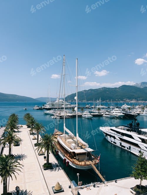 Preview: Wooden bridge connects the moored sailboat to the pier with green palm trees