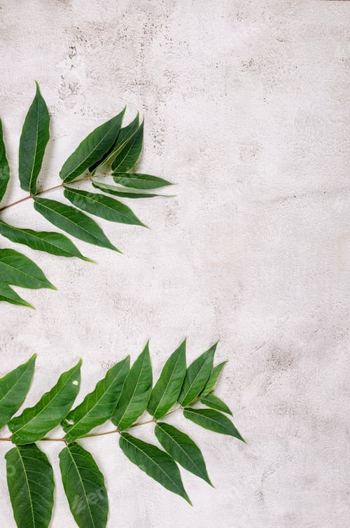 Preview: grassy foliage on textured background.