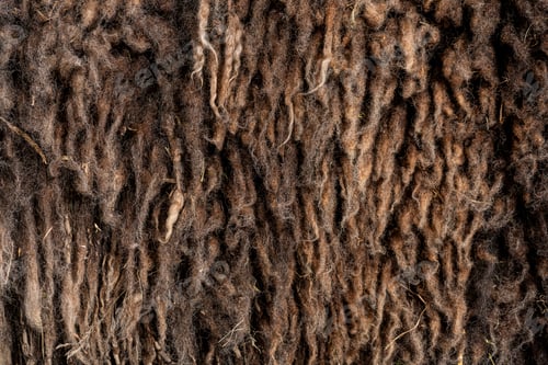 Preview: Close up of brown sheep wool showing soft texture and natural fibers