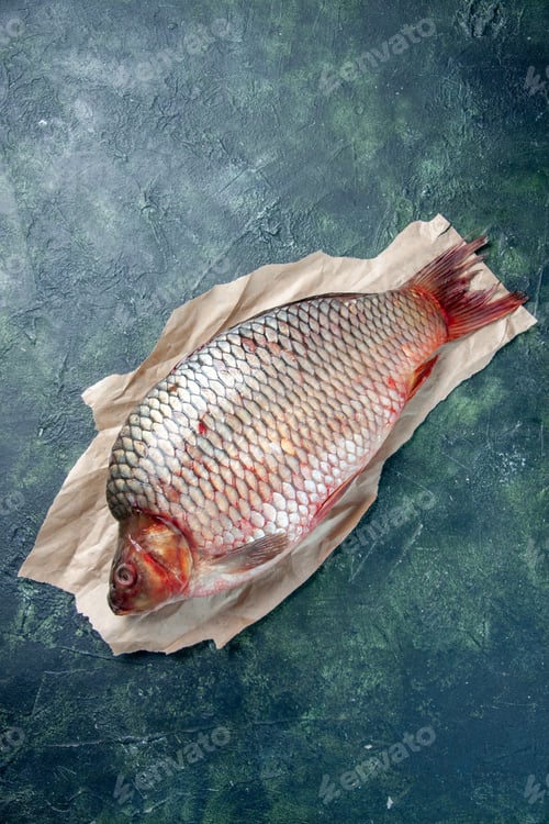 Preview: top view fresh raw fish on dark-blue background food water ocean omega color horizontal meat meal