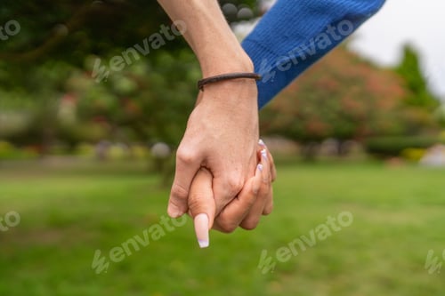 Preview: Multi-ethnic couple holding hands in a park
