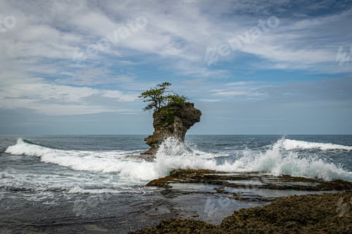 Preview: Eerie seascape in the Gandoca Manzanillo Wildlife Refuge in Costa Rica