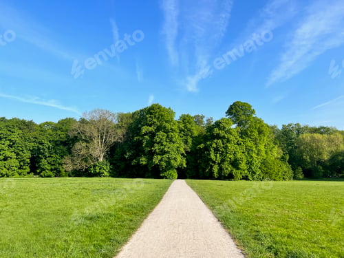 Preview: Path in the park in summer