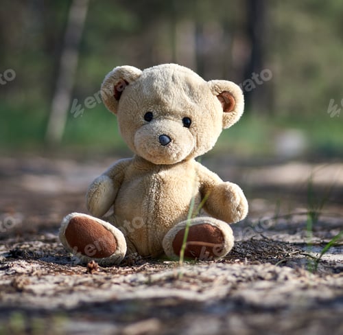 Preview: Abandoned brown teddy bear sitting in the middle of the forest in the evening