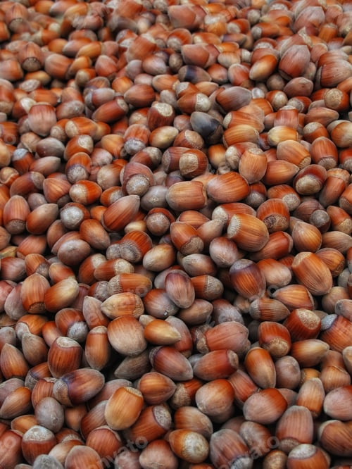 Preview: Acorns