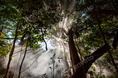 Preview: Sunny beams