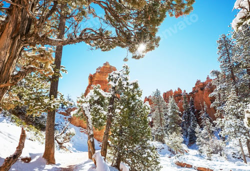 Preview: Winter Bryce