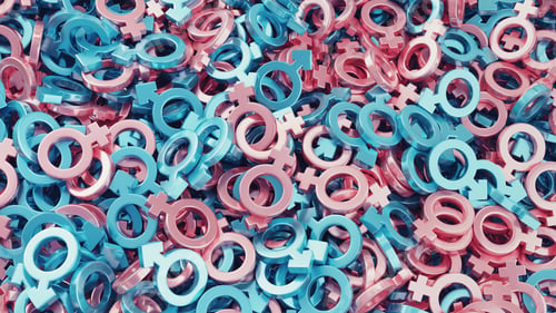 Preview: Large pile of female and male gender signs. Lots of metallic blue and pink gender symbols.