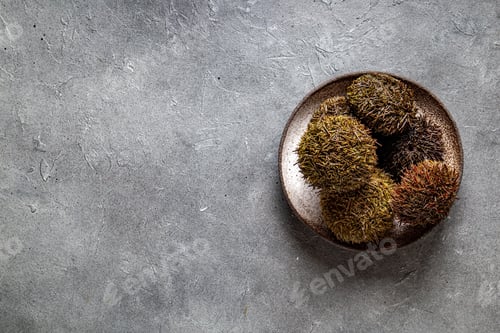 Preview: Pacific Sea urchins on gray background with lemon. cilantro and white wine