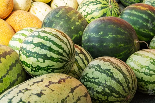 Preview: Watermelon melon close-up in a box at the market. Background of fruit. Seasonal summer food