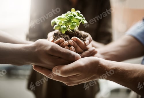 Preview: We all should take care of nature