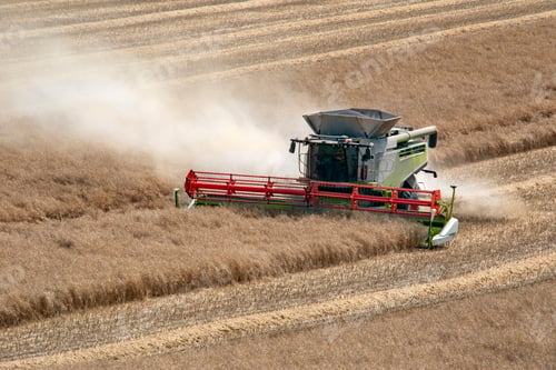 Preview: Harvest time - Combine Harvester