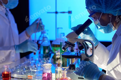 Preview: Carrying out Promising Experiment
