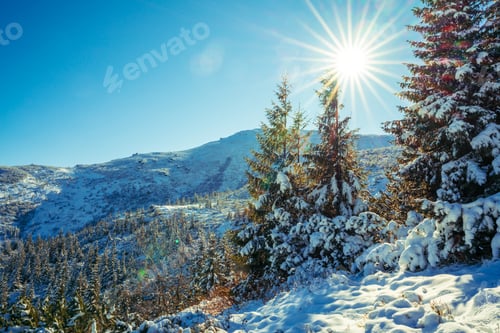 Preview: hills with snow-white snow drifts and evergreen trees illuminated by the bright sun