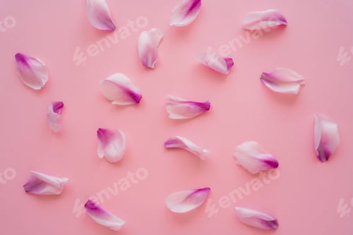 Preview: top view of fresh floral petals scattered on pink background