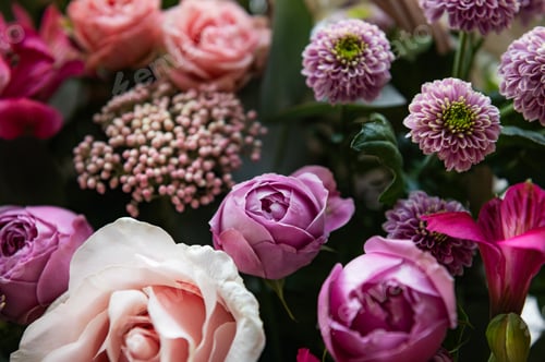 Preview: Roses and gypsophila bunch of flowers