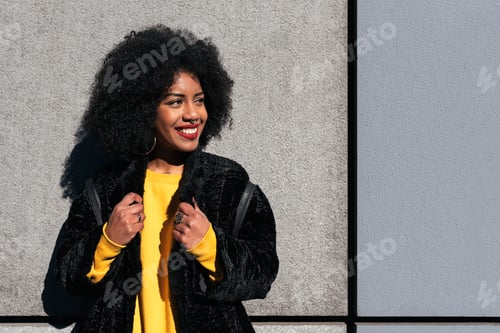 Preview: Portrait of beautiful afro american woman.