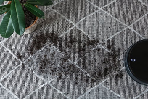 Preview: Robotic vacuum cleaner cleaning dirty carpet at home next plant