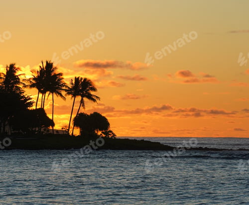 Preview: Hawaiian Tropics