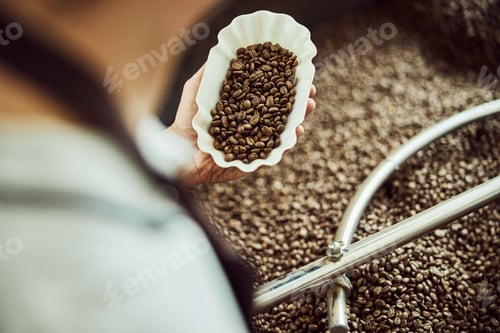 Preview: Male worker holding bowl of freshly roasted coffee beans