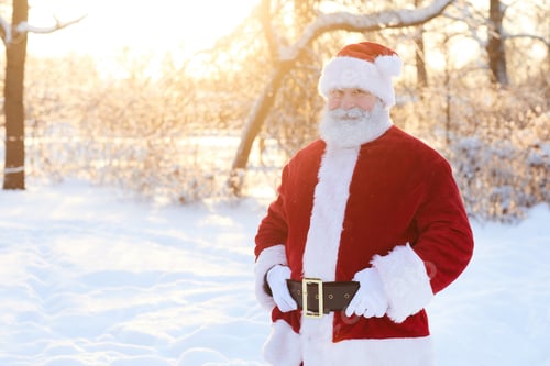 Preview: Portrait of Santa in Forest
