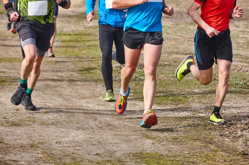 Preview: Cross country runners on a race. Active healthy outdoor lifestyle