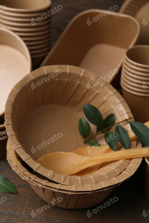 Preview: Set of disposable tableware and green leaves on wooden table, closeup