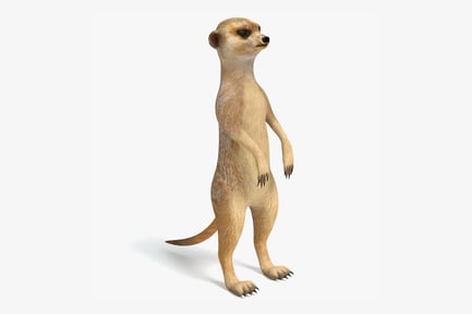 Preview: Upright Meerkat: Savanna Sentinel