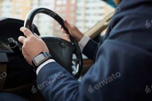 Preview: Driver in the car